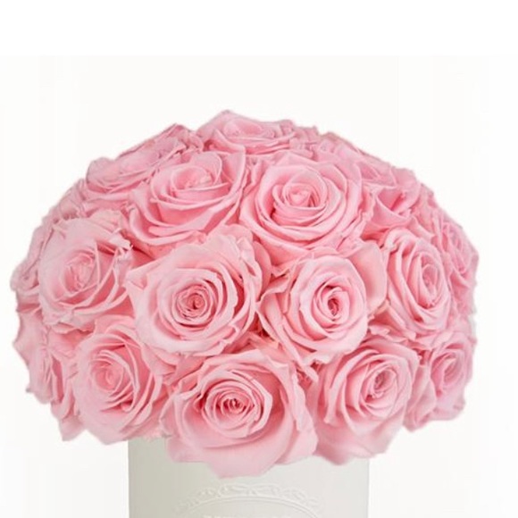 Meet your Posher! - Picture 1 of 1